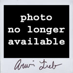 Portroids: Arwin Lieb