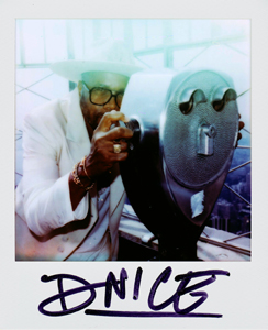 Portroids: Portroid of D-Nice