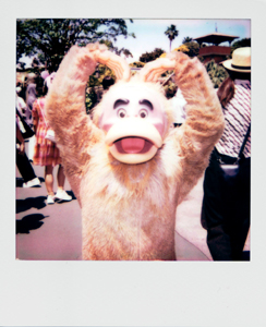 Portroids: Portroid of Jungle Monkey