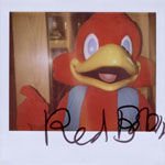 Portroids: Portroid of Red Robin