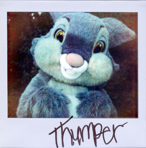thumper definition