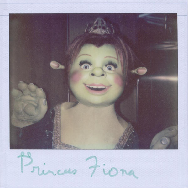Portroids: Portroid of Princess Fiona